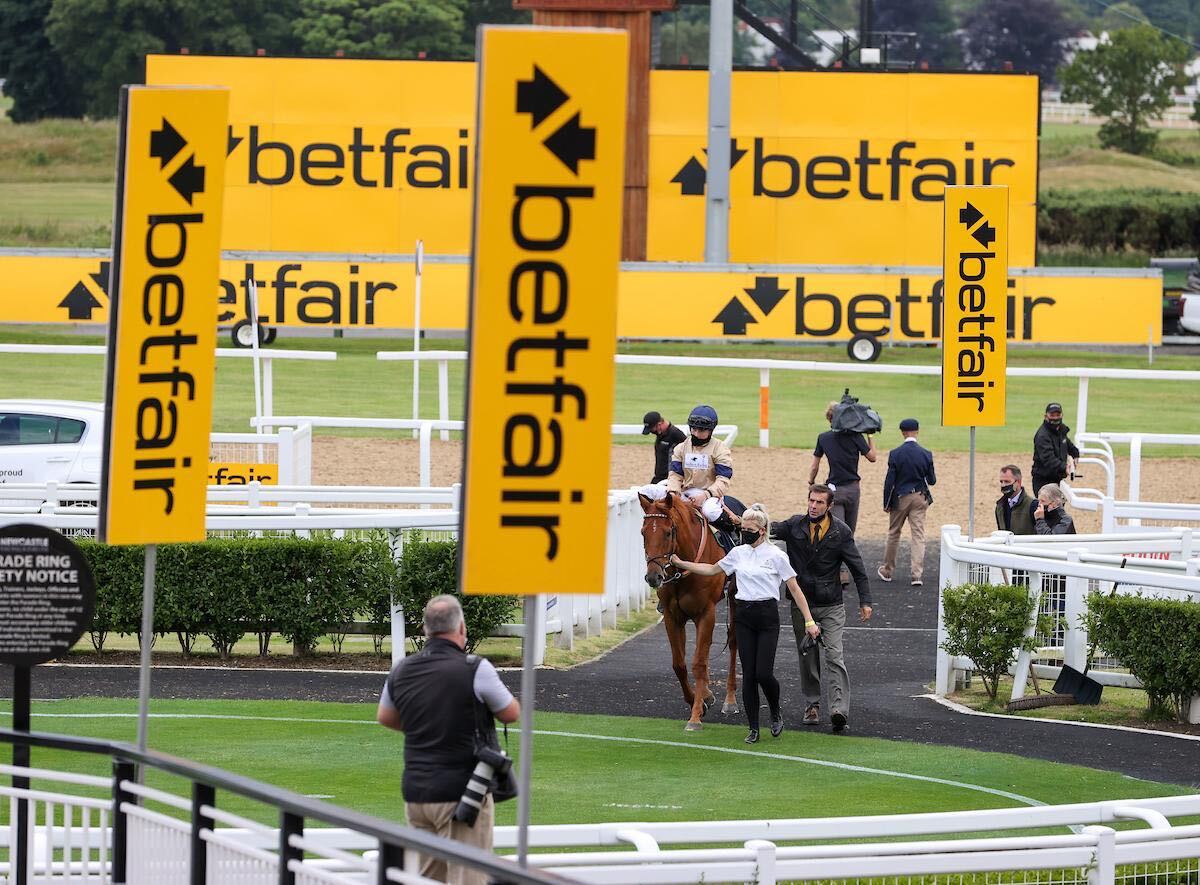 BetfairRacing's tweet photo. A great day's racing @NewcastleRaces for the @Betfair Northumberland Plate card!

👏Congratulations to all connected with Caravan Of Hope
🌧️Some fine performances on the track despite a few showers
🤞Hoping for a crowd and best dressed again next year
📸John Grossick https://t.co/3dBH5KJc29