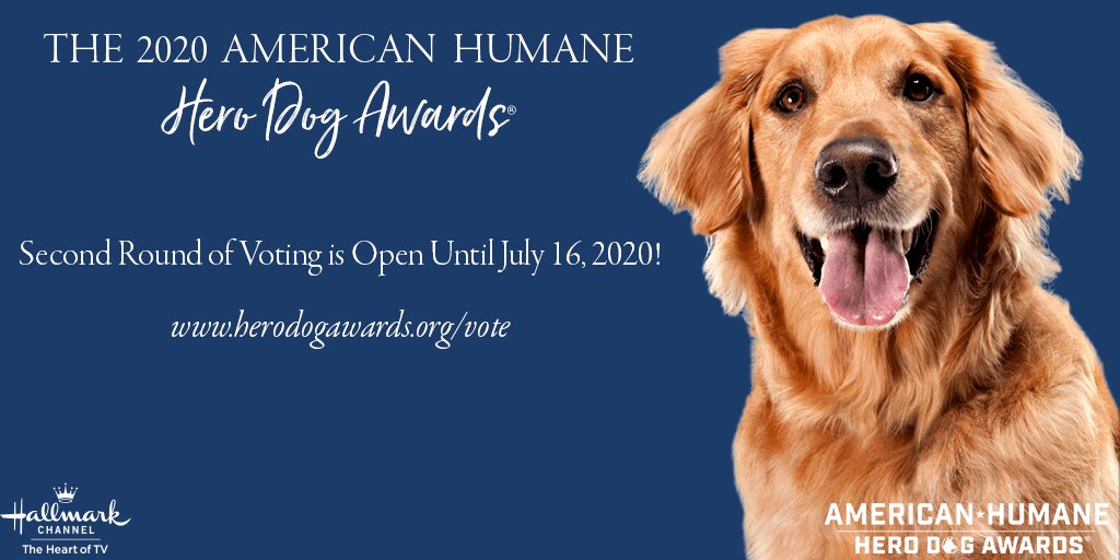 HeroDogAwards's tweet photo. Many of the semi-finalists for this year’s 10th annual #HeroDogAwards competition have survived hardships we could not imagine or achieved unbelievable lifesaving accomplishments. Read their remarkable stories and #vote for your favorite: https://t.co/Y0BeS3zCHX https://t.co/o3gPwk5eyX