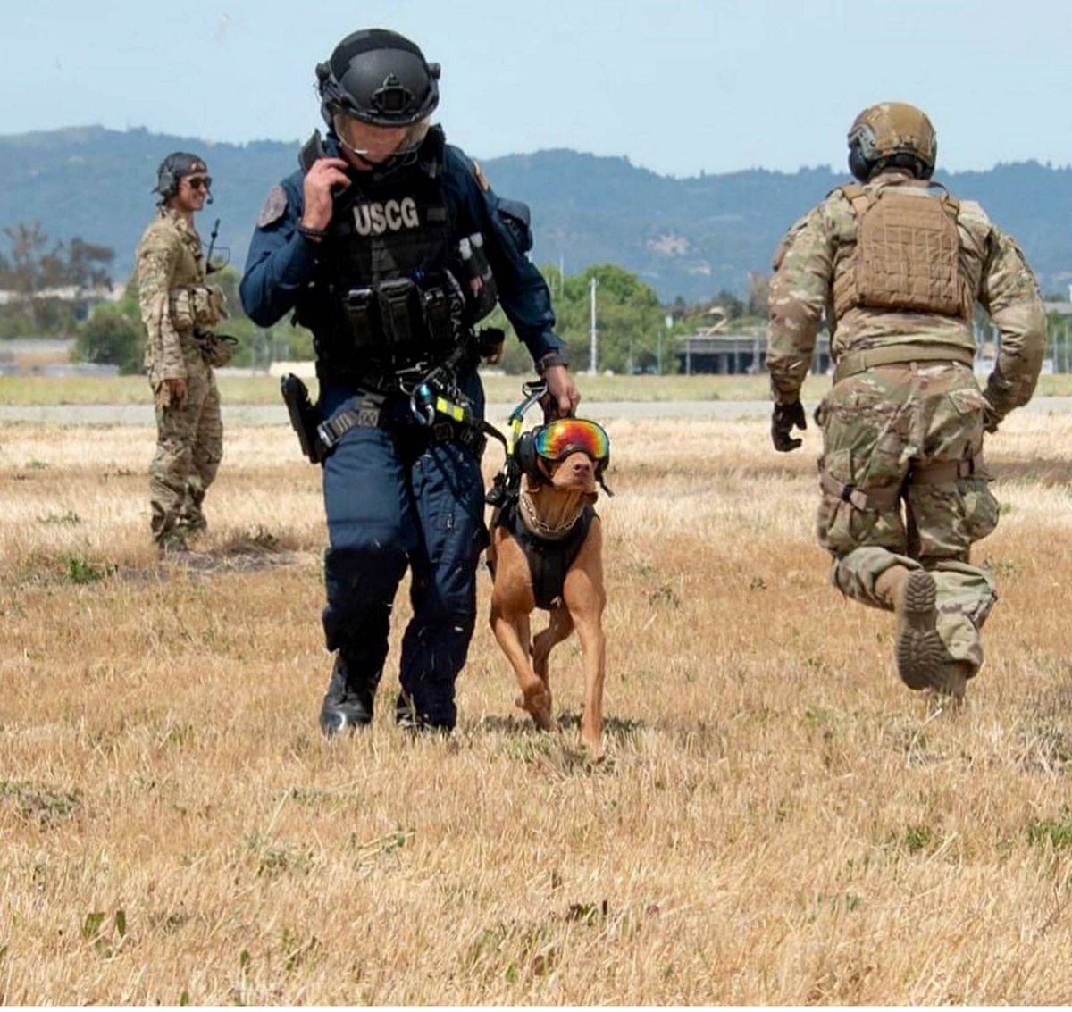 Check out USCG K9 Feco and his handler from MSST San Francisco getting some hang time while joint training with @Californiaairnationalguard.