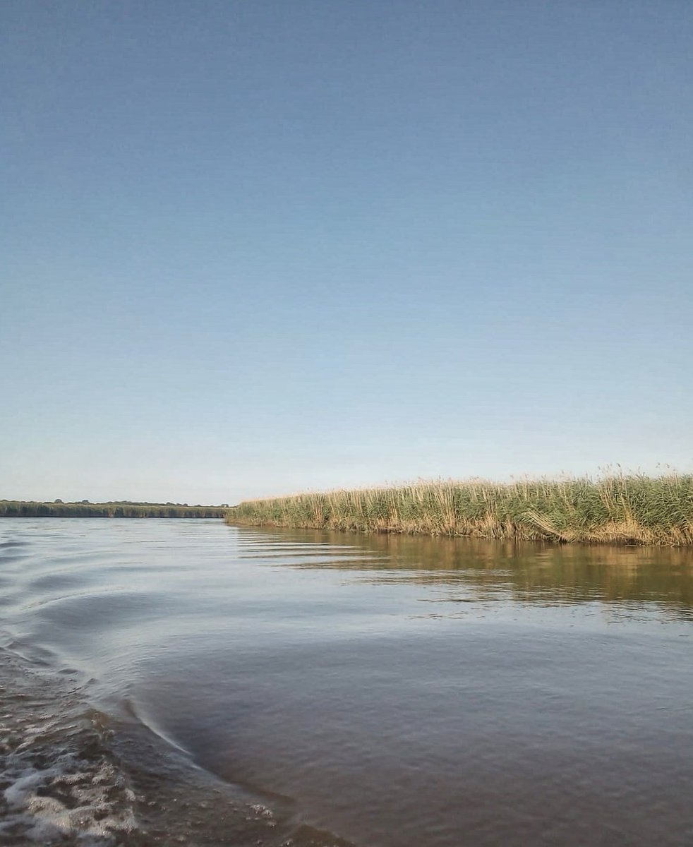On the lovely Norfolk broads 
<a href="/EDP24/">Eastern Daily Press</a> <a href="/EveningNews/">Norwich Evening News</a> <a href="/Netweather/">Netweather</a> <a href="/ChrisPage90/">Chris Page - Weatherman</a> #StormHour <a href="/BBCWthrWatchers/">BBC Weather Watchers</a> <a href="/itvanglia/">ITV News Anglia</a> #ballsphotos #Norfolk #norfolkbroads