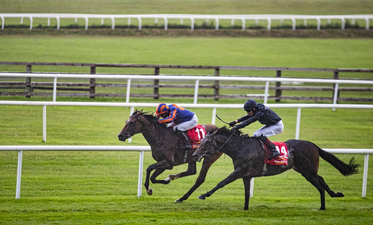 AUTHORIZED oglu SANTIAGO Gr1 İrlanda Derbisi kazandı AUTHORIZED oglu SANTIAGO Gr1 İrlanda Derbisi kazandı