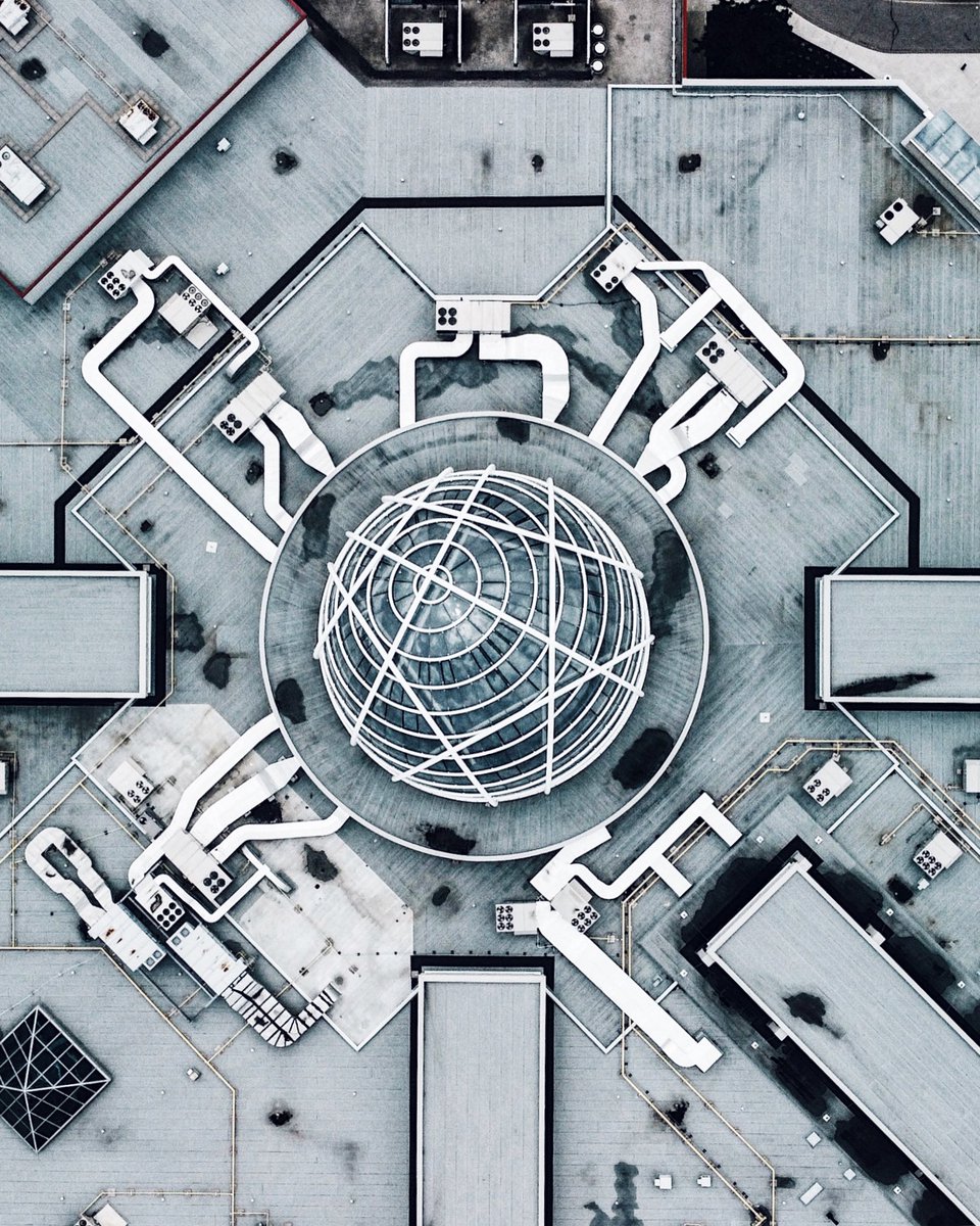 patrick. tweet media