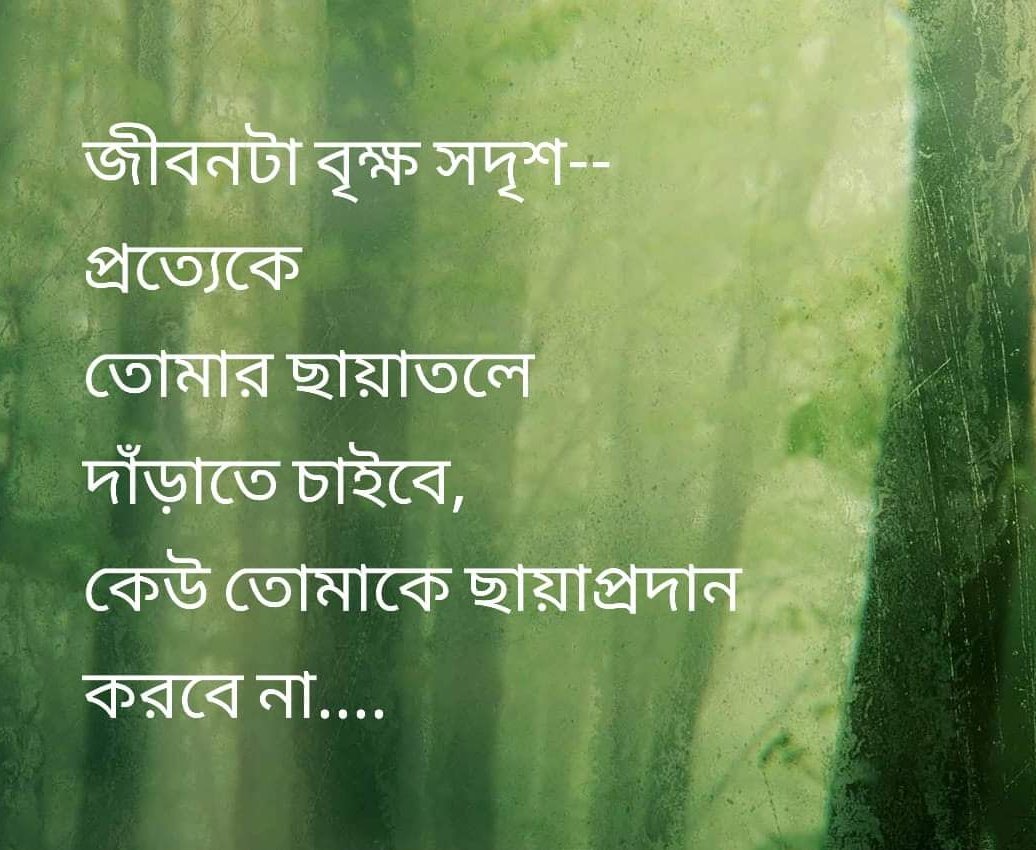 Meghmala15's tweet photo. বাস্তব সত্য ---- https://t.co/dWcufoQixH