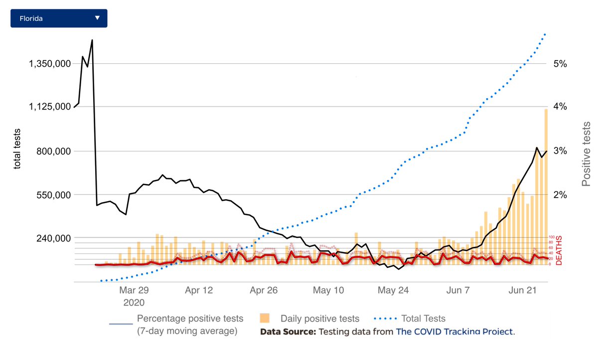 Here in this chart you can see the more realistically ACTUAL  #CORONAVIRUS DEATHS in FLORIDA compared to the reported deaths to  #CORONAVIRUS and then the number of total tests and the total people who have been exposed to and had  #CORONAVIRUS