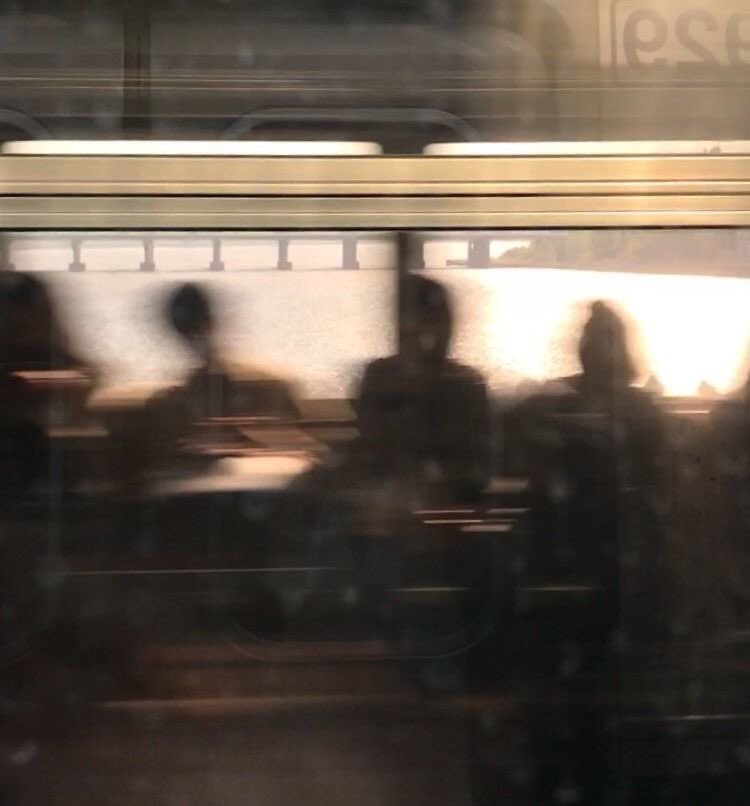 carrot bagel (@a_daisy_home) on Twitter photo 