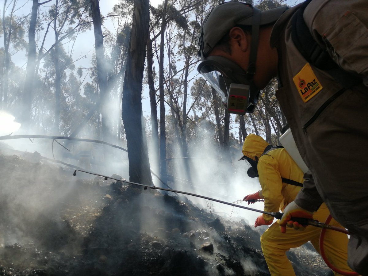 SubMaxParedes's tweet photo. #Ahora Subalcalde Juan Carlos Sandoval junto a grupo #PrimeraLínea de la subalcaldia y personal de Bomberos controlan incendio provocado en Pura Pura.
#LaPaz https://t.co/npPV6a1bjf