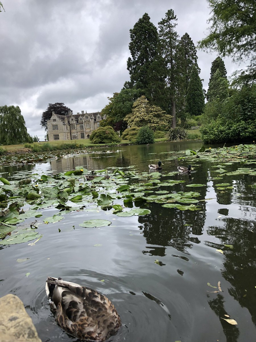 desidesignuk's tweet photo. Missed you @wakehurst_kew! https://t.co/LhgOJRdjEK