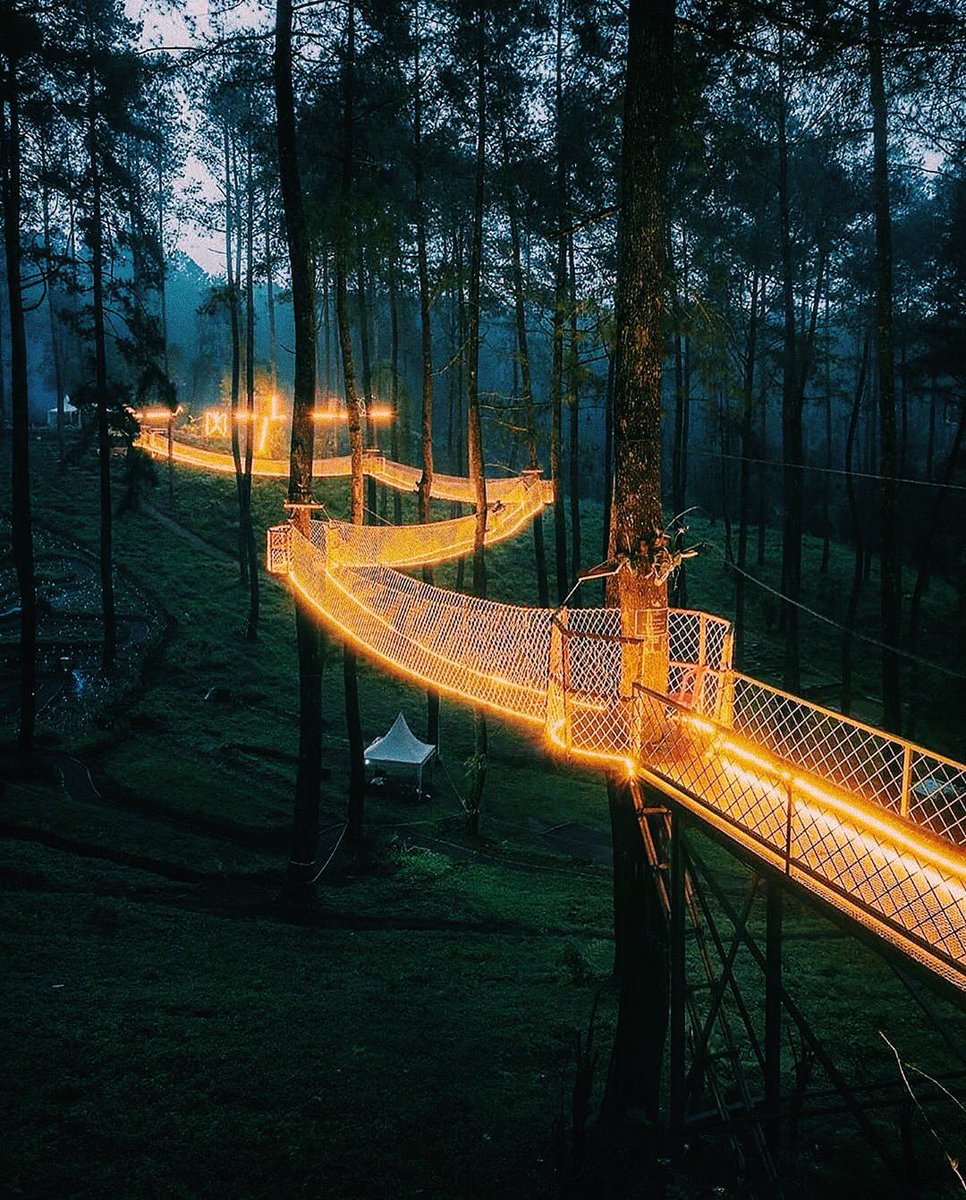 D (@sxgnos) on Twitter photo 