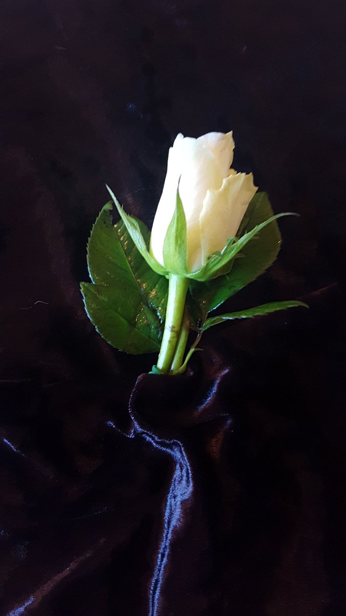 Bruce Parry (@whackandcrash) on Twitter photo Wishing all <a href="/ReptonTheCross/">Repton The Cross</a> leavers all the very best for the future. Such a shame we didn't see you all with these button hole roses today in your suits however, bright futures beckon now. Good luck! Wishing all <a href="/ReptonTheCross/">Repton The Cross</a> leavers all the very best for the future. Such a shame we didn't see you all with these button hole roses today in your suits however, bright futures beckon now. Good luck!