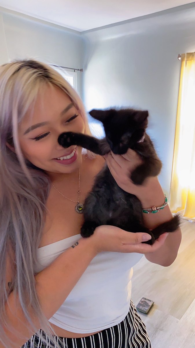 xojessicv's tweet photo. simba https://t.co/tXgprUaOIC
