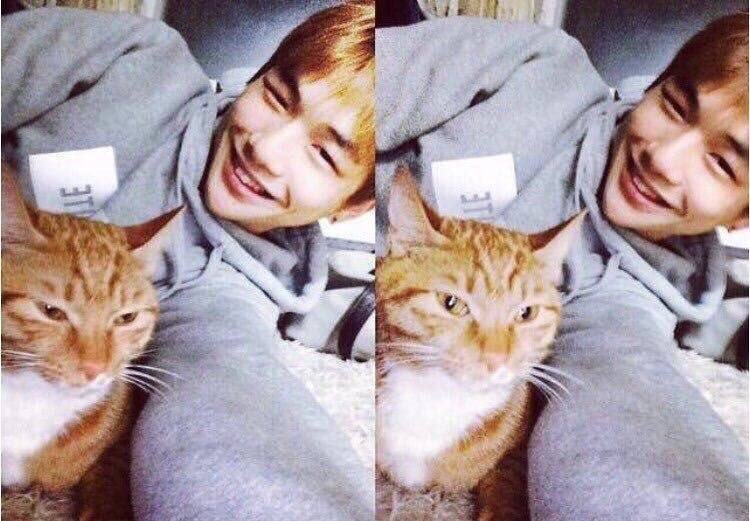 More things people need to know about Daniel: He adopted 2 stray cats in his trainee days and 2 more after he debuted. All female cats. He is a HUGE cat lover. He calls them his sisters and he loves them the most in the world  Kang Ori, Peter Rooney and Zzangah 