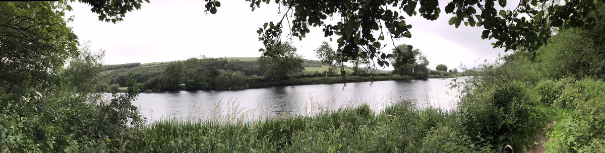 Ballincollig to the sea, love the Lee.  @savecorkcity  @LoveCork  @PhotosCork  @yaycork  @corkbeo  @banksofmylee  @BlackrockVlg  @MarinaParkCork