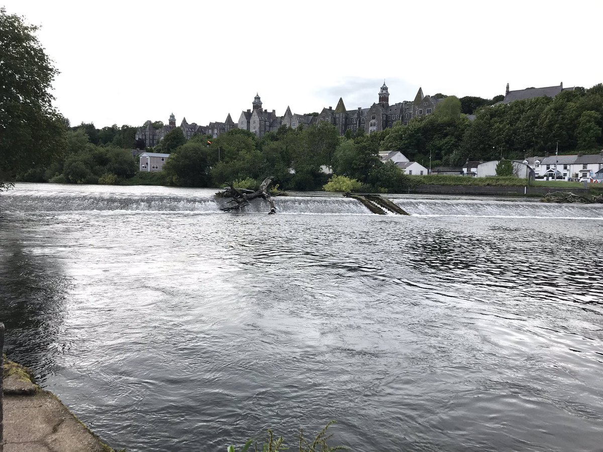 Ballincollig to the sea, love the Lee.  @savecorkcity  @LoveCork  @PhotosCork  @yaycork  @corkbeo  @banksofmylee  @BlackrockVlg  @MarinaParkCork