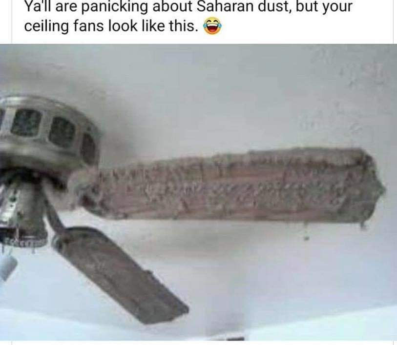 kimmie_c_'s tweet photo. I haven't actually turned my ceiling fans off in ages. If they're always moving, you can't see the dust! https://t.co/9qcQZmA2xN