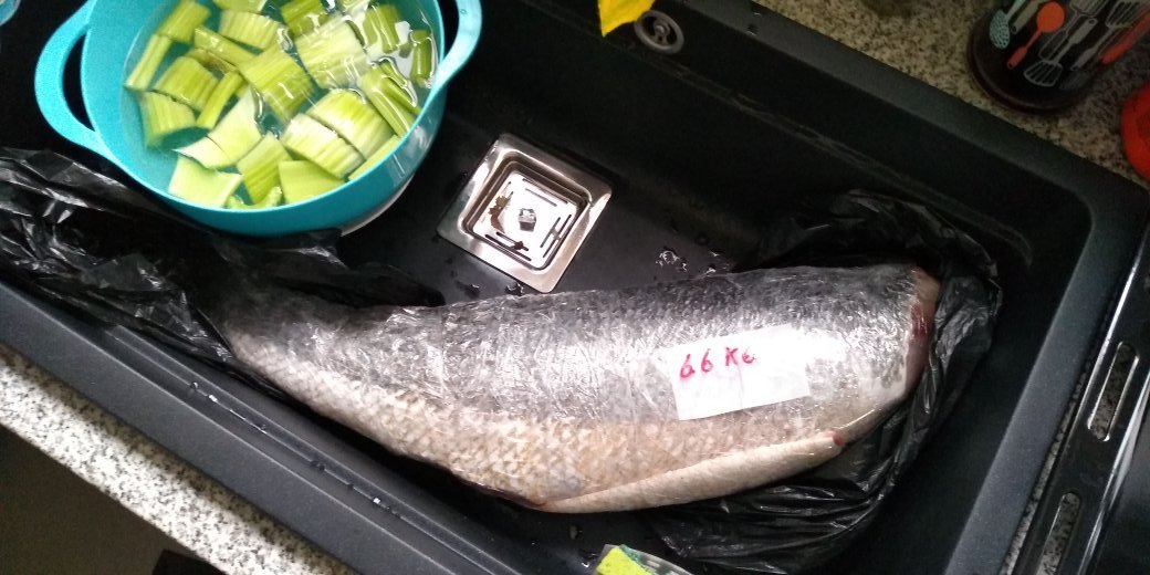 lediazsilva's tweet photo. Tremenda corvina!! Gracias @MarDelivery. Pensaba meterla al horno pero era un pelin grande, así que se filetea, para hacerla a la plancha y ceviche, y además se hace fondo de pescado. Fresco, carne firme y 0 olor!! Recomendadisimo!! https://t.co/wEfh5jSbvS