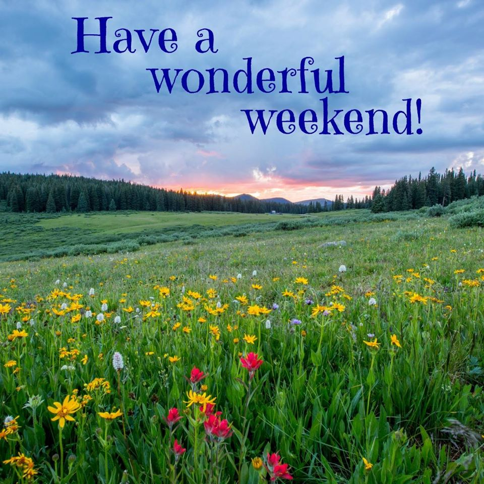 Melissa Pearl (@mpearlauthor) on Twitter photo 