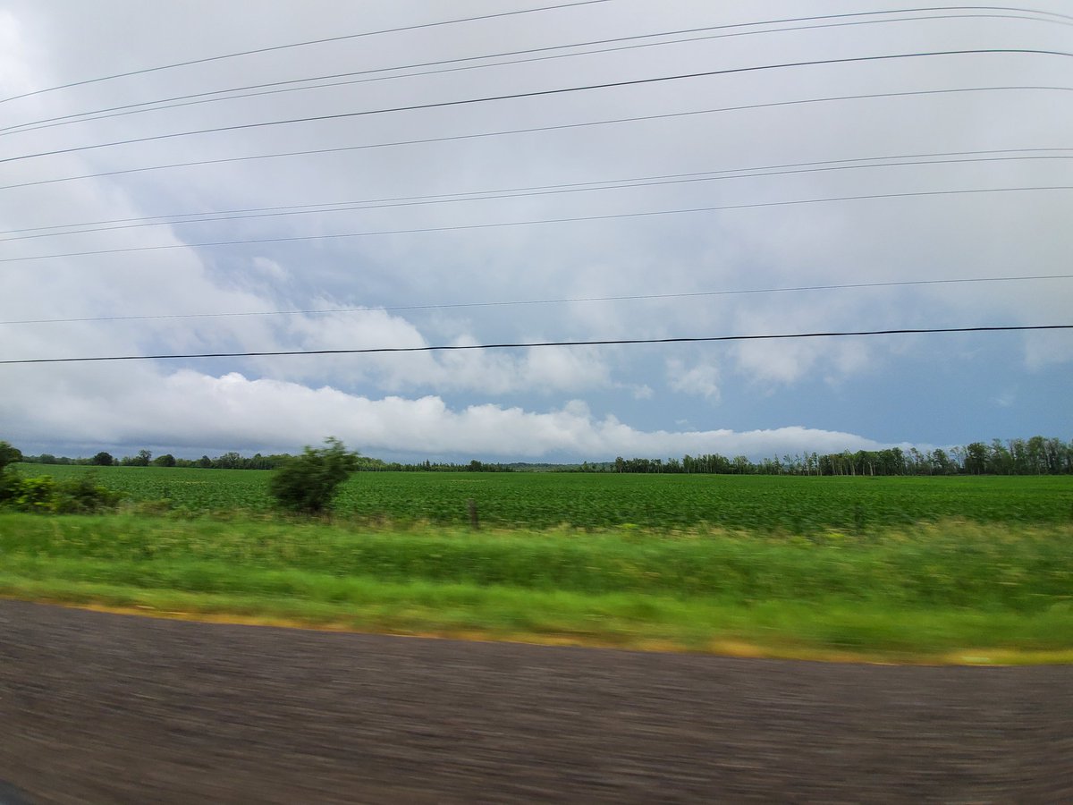 ConnorMockettWX's tweet photo. Suuuuper long inflow tail just outside of Smiths Falls! #onstorm #inflowtail https://t.co/mm3px5hgfw