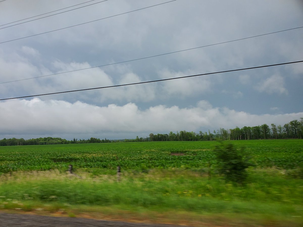 ConnorMockettWX's tweet photo. Suuuuper long inflow tail just outside of Smiths Falls! #onstorm #inflowtail https://t.co/mm3px5hgfw