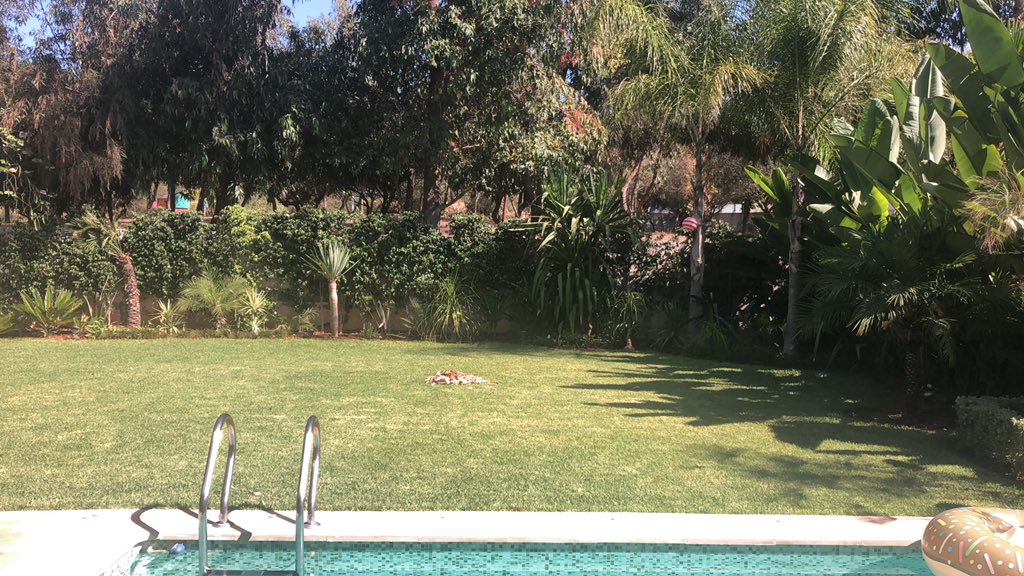 Day 1 😊#mylifeinpictures. No people, no description. Challenge someone everyday. I was challenged by <a href="/KenzaMalal/">Kenza Malal</a>.