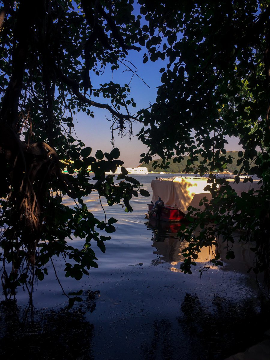 Zuboid1's tweet photo. Lake Palace. 
Have you ever been there before ?
______
#instagood #lakehouse #lake #water #sun #sunsetreflection #udaipurlove #udaipur #udaipurlakecity #indigosky #natgeoyourshot #yourshotphotographer #traditionalarchitecture #architecturewater #treeboat https://t.co/lCaEpDsFJw