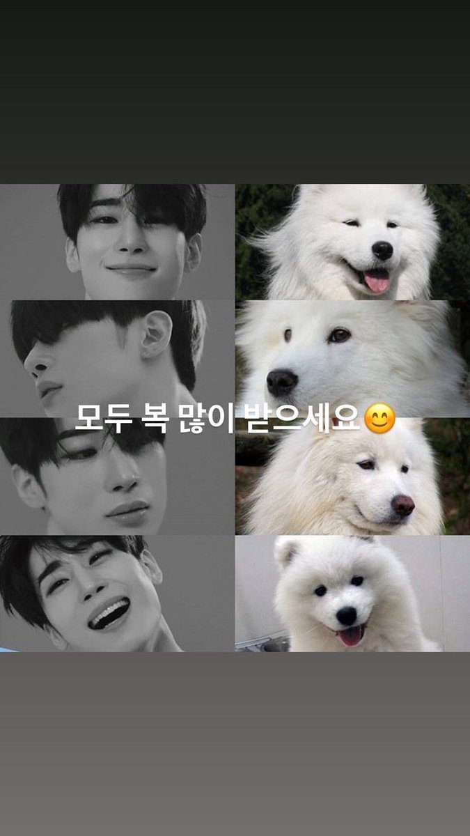 200125 Han Seungwoo Ig Update Comparing his self with white fox he found the meme online, and again teasing about his fanmeeting! We know how excited you are, wooya~