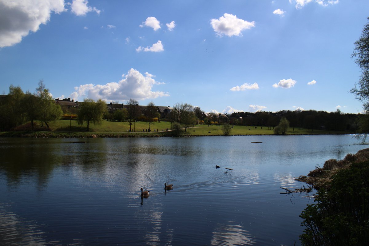 Louvain-la-Neuve,  #Belgium.This lake is easily my most favorite lake. I spent my 2017 walking along this lake.  #respectetonlac2017 Spring.