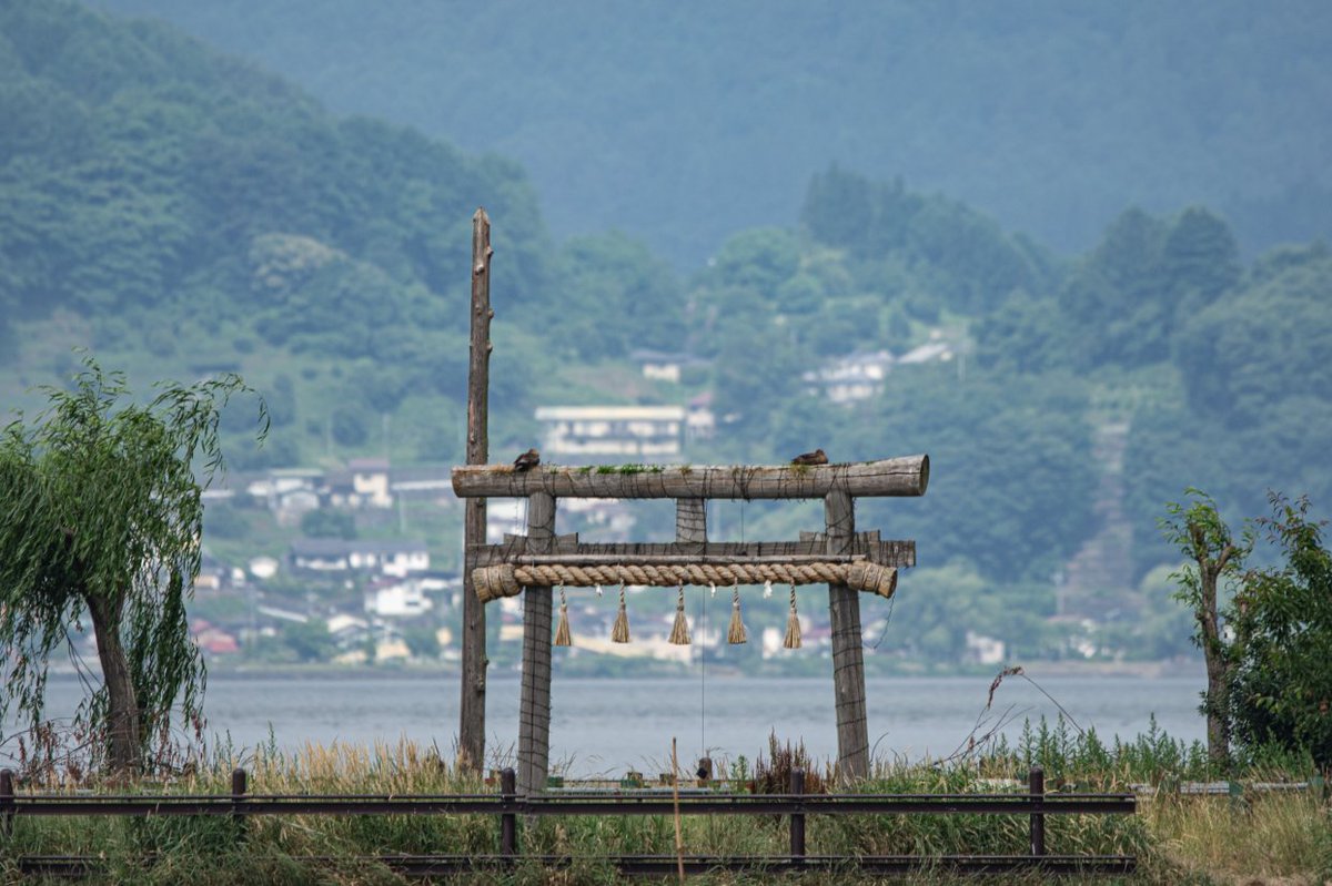 Susumu Komatsu Photography Suwa Lake From Kamisuwa And Hatsushima Shrine On The Lake 上諏訪から見た諏訪湖と初島神社 Suwa Suwalake Kamisuwa Hatsushimashrine Shrine Nagano 上諏訪 諏訪湖 初島神社 長野県 T Co Anna0suvoh
