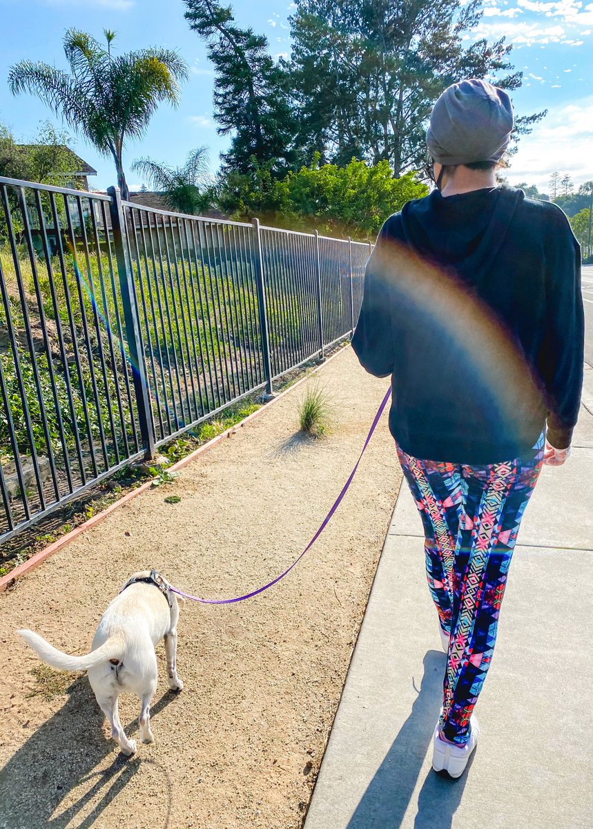 EncinitasPetSit's tweet photo. A nice walking with our furry friend and a 🌈🌻!
https://t.co/eQLJlLLYxn
#encinitas #leucadia #lacosta #carlsbad #ranchosantafe #cardiffbythesea #solanabeach #encinitasdogwalking #encinitasdogwalker #petsittersnearme #petcare #petcareprofessional #catlover #catlovers #cutecat https://t.co/RUbD3f1qHY