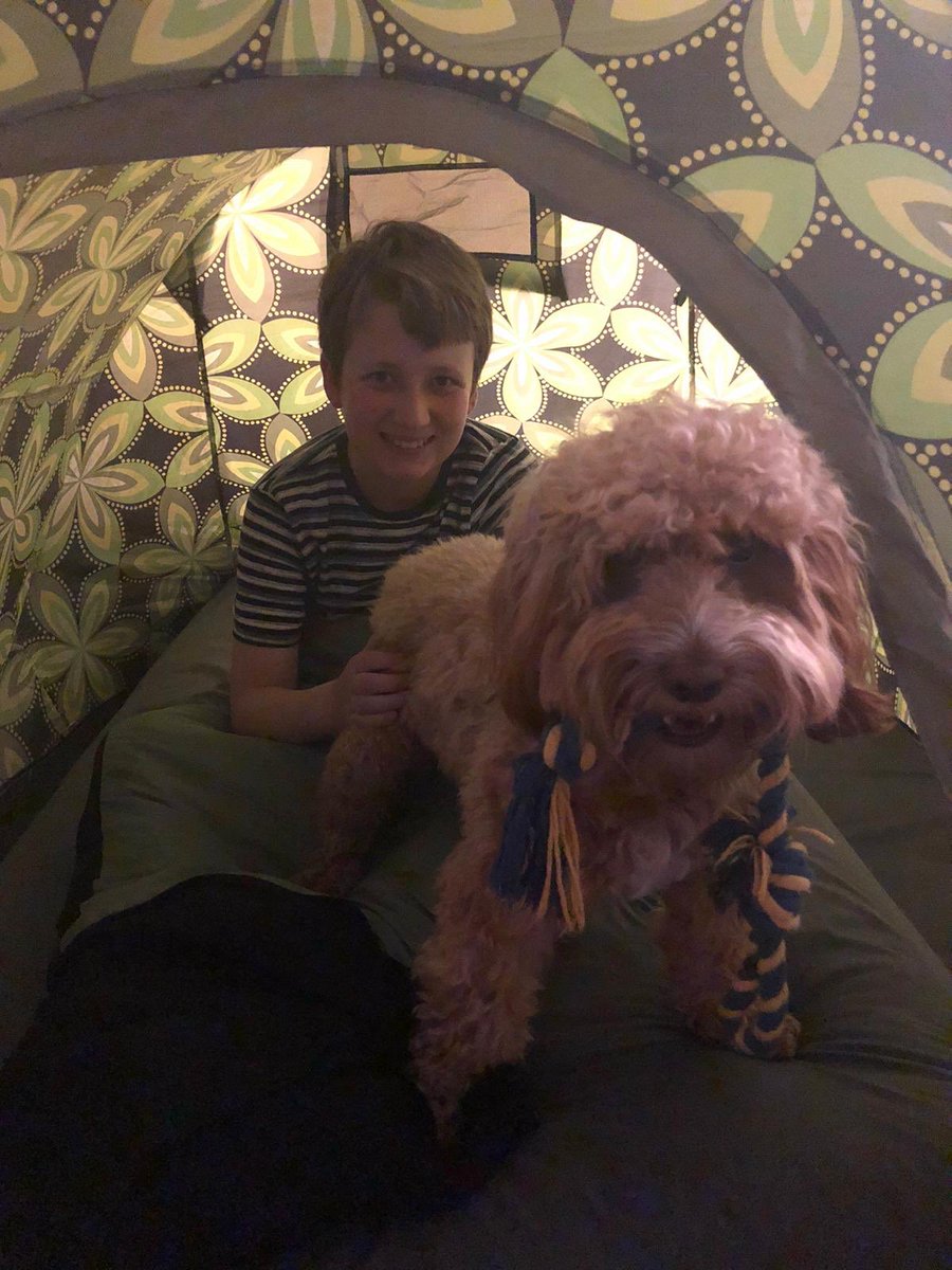 LACARGILL2's tweet photo. @captainmaxi #BoysBrigade #13MBBvirtualcamp Max has decided to join camp too! https://t.co/WW0Ge0QEjK