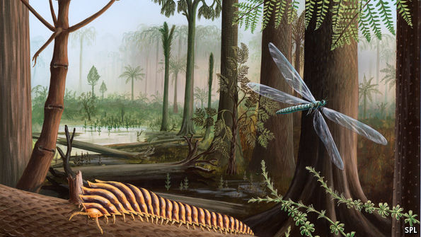 you ever just think about the carboniferous