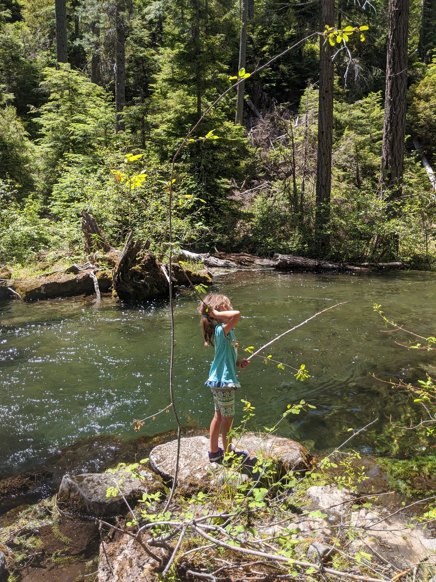 Ellison__James's tweet photo. Found a beautiful little river on our hike today. Gorgeous falls, a few frogs, sunshine and really cold water! Now time for a nap.
#wildoregon
#oregonrivers
#hikeoregon https://t.co/de7V39fIPz