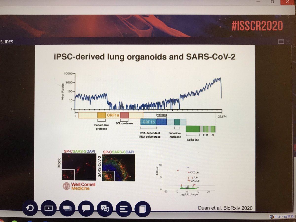 Shuibing Chen (@chenshuibing) on Twitter photo Congratulate <a href="/virusninja/">Benjamin tenOever</a> for an amazing talk at #ISSCR2020. A wonderful session to show stem cell community’s effort to fight COVID-19. Congratulate <a href="/virusninja/">Benjamin tenOever</a> for an amazing talk at #ISSCR2020. A wonderful session to show stem cell community’s effort to fight COVID-19.
