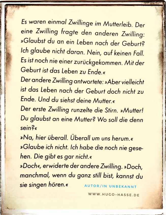 HugoHasse's tweet photo. https://t.co/lAYdR5ZL3r