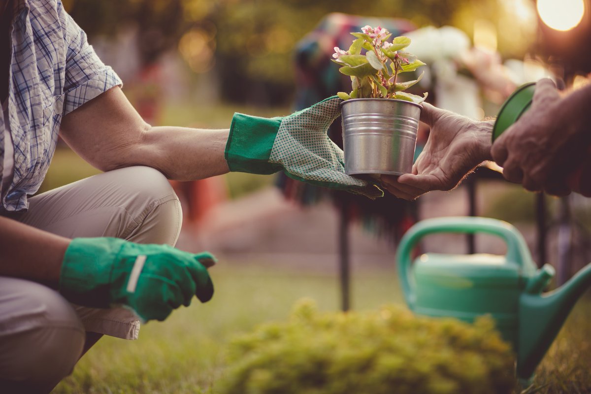 QUTdesign's tweet photo. Scholarship time!! QUT is offering a PhD scholarship to undertake research into Inclusive Campus Environments Project, as part of a NHMRC funded Research Project. For more details head to: https://t.co/sVKSFpBpNO #designforhealth #qutdesignlab https://t.co/ftfgNAbHA4