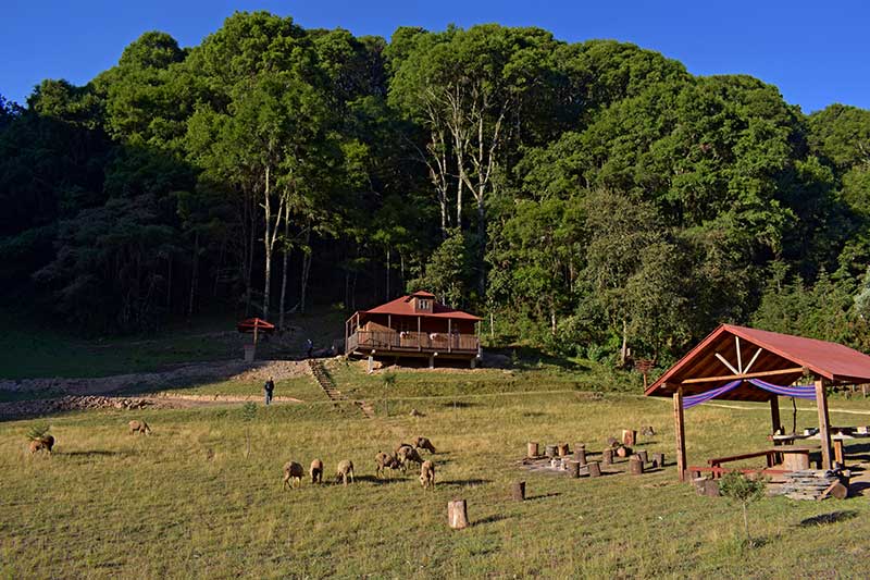 QroTravel's tweet photo. 🌲🌳 Si bien todos los sitios turísticos naturales aún permanecen cerrados, pasar un fin de semana en cabañas Las Ovejas, a pocos minutos de la cabecera municipal de San Joaquín, conquistará tus ganas de aire puro, de olor a bosque y desconectarte de la ciudad.

#NosVemosPronto https://t.co/oGW6jscRWE