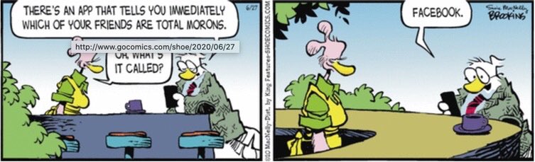 SeattleBirdMan's tweet image. 