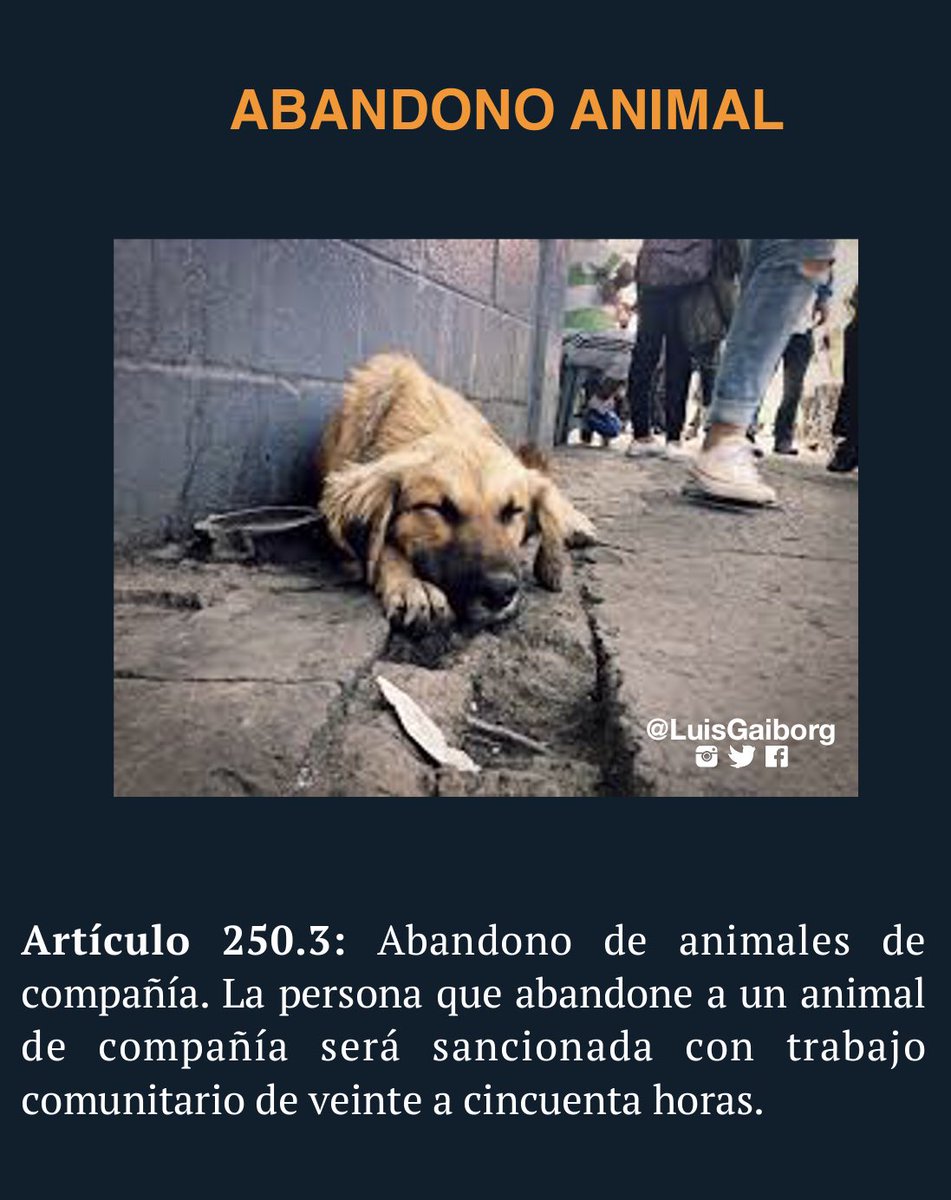 luisgaiborg's tweet photo. #COMPARTIR 
Abandonar, Maltratar, Matar y Abusar de un #Animalito en #Ecuador es un delito desde el #21DeJunio de este año.

A continuación te informamos los delitos y sus penas que se encuentran en el artículo 250 del código integral penal. https://t.co/xEA2e1kYcF