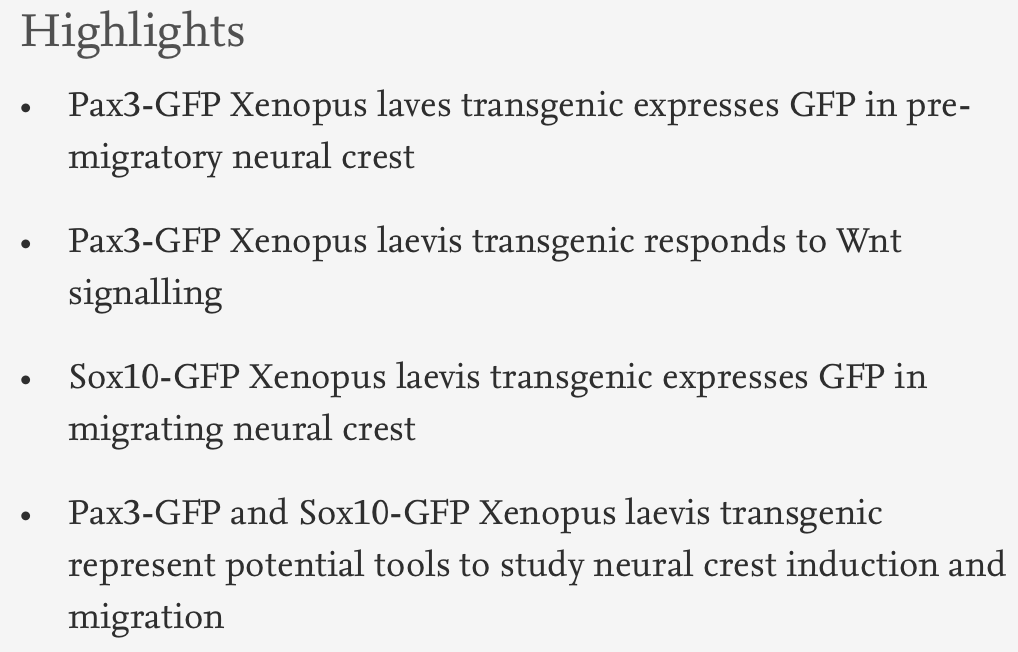 Dev_Bio_Journal's tweet photo. #DBteaser #DBfeatures #DevBio #ICYMI
"Characterization of Pax3 and Sox10 Transgenic Xenopus Laevis Embryos as Tools to Study Neural Crest Development" by @alkobtawi, Roberto Mayor et al., (2018).
Read more here -> https://t.co/MKYOey8sWJ https://t.co/W1EVaGsU25