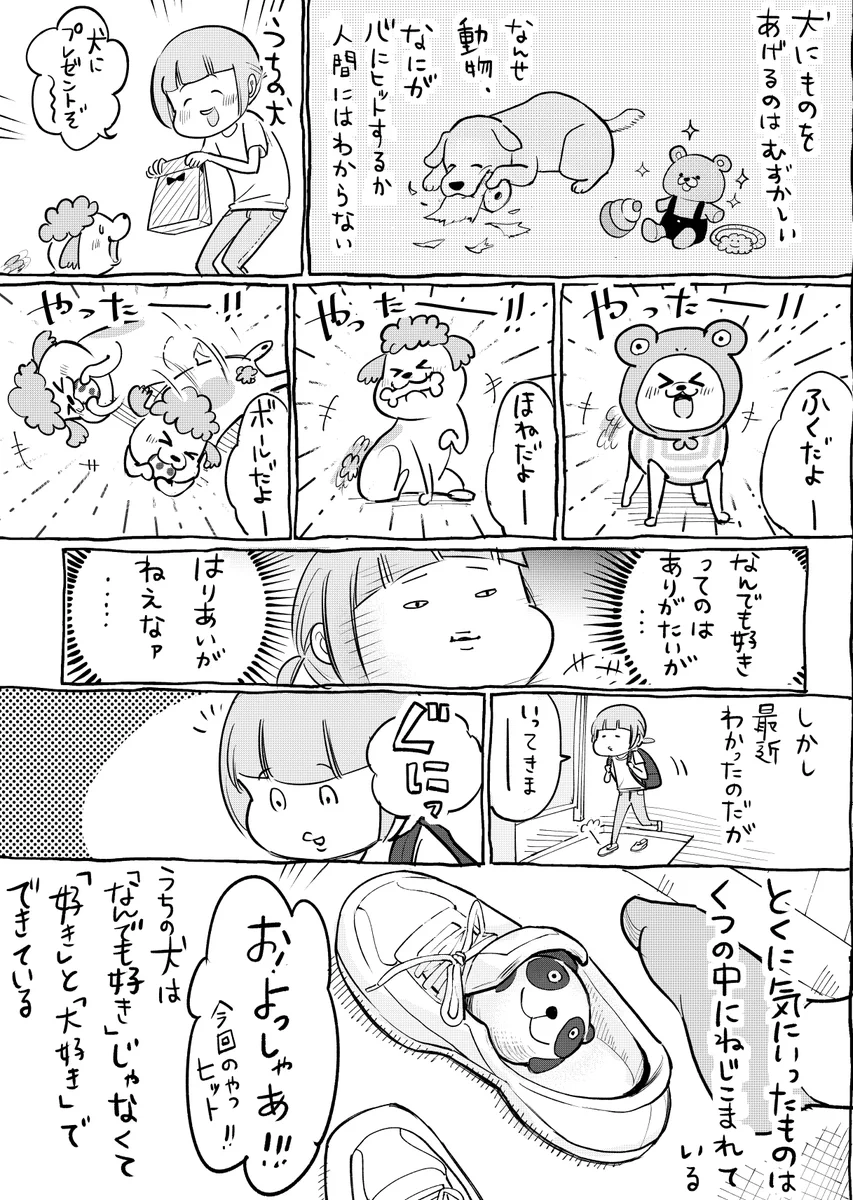 犬と猫それぞれにプレゼントをあげると？反応が様々で毎回楽しいwww