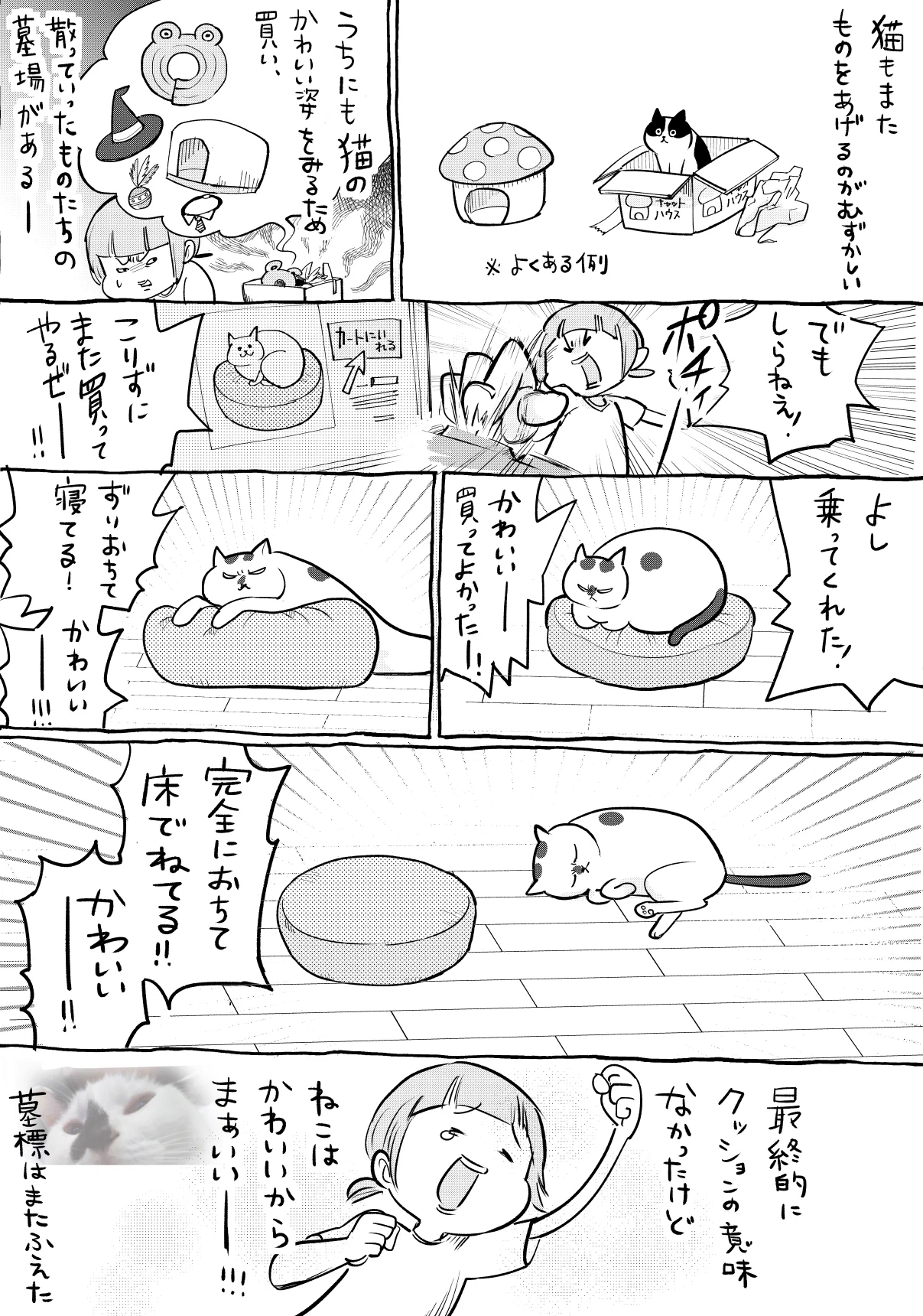 犬と猫それぞれにプレゼントをあげると？反応が様々で毎回楽しいwww
