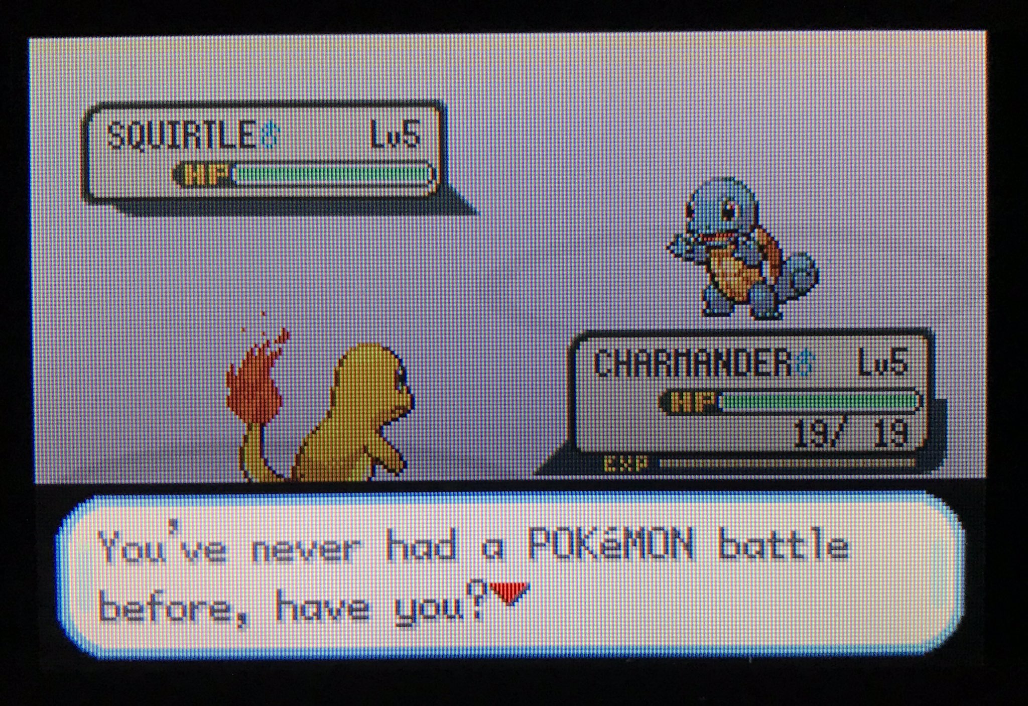 3] Shiny Charmander in Fire Red after ??? SRs (3 days) : r