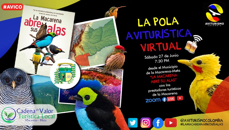 La Pola Avituristica - La Macarena (Meta)
Viajemos al departamento del Meta a conocer los atractivos turísticos de La Macarena. Caño Cristales y los mejores lugares para pajarear. 
youtu.be/WCkLFecBG9s