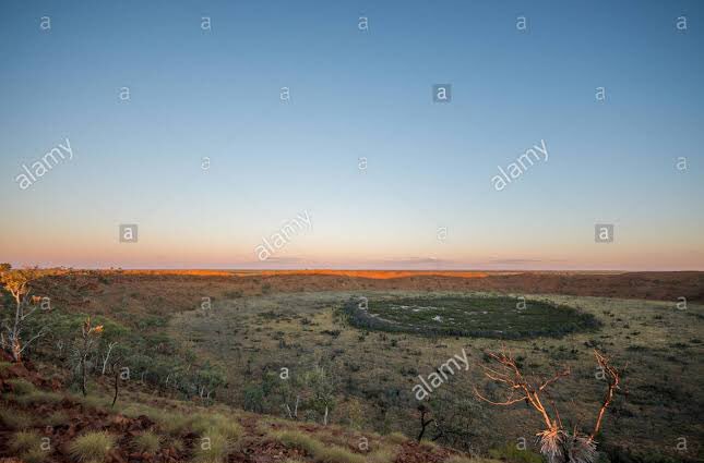 T& his wife Long Rose Nagnala had 3 sons; Tim, & Clifford both went on to be notable artists, & Immanuel became pastor.Tjungurrayi continued to live in Tanami region, dying there on 28 March 1965. He is thought to have been over 72 at time of his death. 9/9