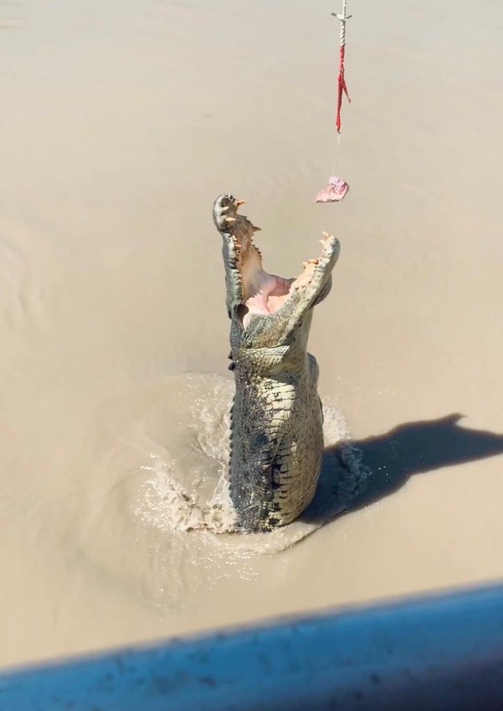 Not_Blade_6's tweet image. C’mon back now y’hear?! #forwarddeployed