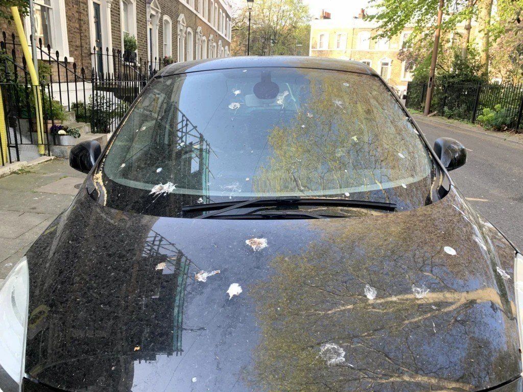 motorpuntoes's tweet photo. El cuidado de los coches en verano: consejos para mantener la pintura perfecta
https://t.co/BS8jwyO0vm
#mantenimientocoches #lavadocoches #consejocoches #cuidadocoches https://t.co/LyazTyisVr