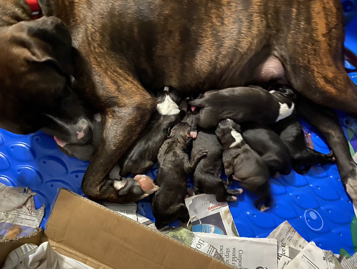 So many babies and she not done. We have 8.