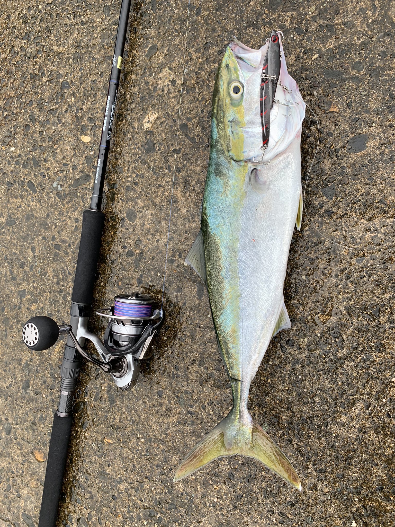 □ダイワ SHORE SPARTANスパルタン スタンダード 96M