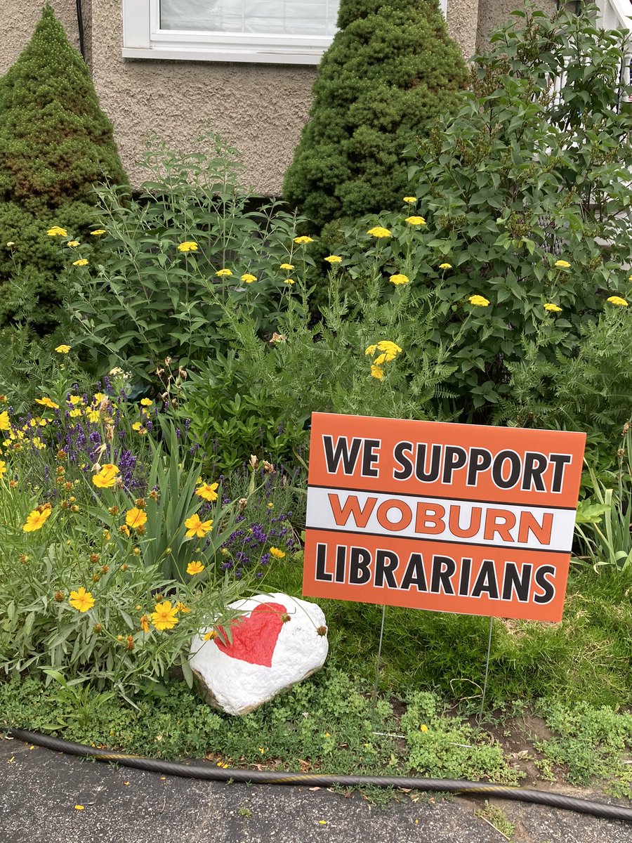 Rachel Kuberry tweet media