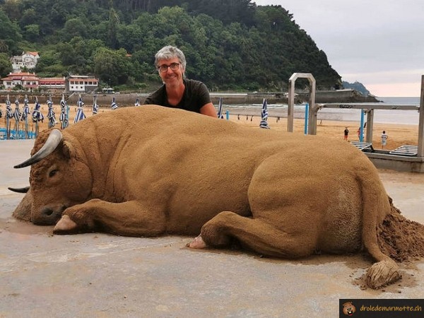 Drole De Marmotte Taureau De Sable T Co Xyiiyt8tau Wtf Humour Fun Drole T Co T1yx80cprh Twitter