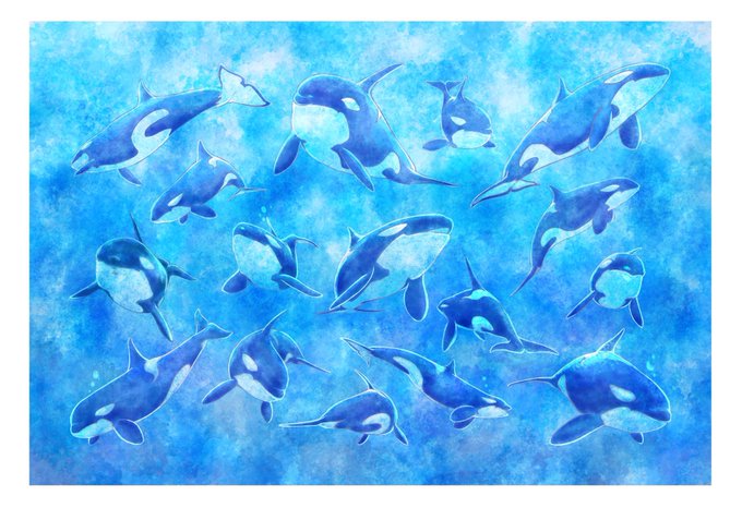 シャチと夏の日展のtwitterイラスト検索結果